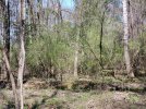 20220310_120318_1000W.jpg