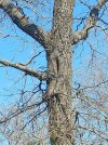 20220328_110309.jpg