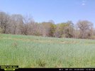 IMG-4073.JPG