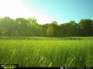 D8073952-B67E-4E5C-853F-1FD901D990D1.jpeg