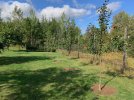 IMG_1675 (2).jpeg