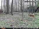 Attach53166_20220511_115511.jpg