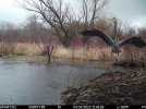 3C3BC17E-4163-4C2F-81D6-99651978CC40.jpeg