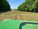 IMG_4566.jpg