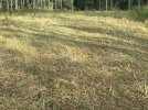 IMG_1616.jpg