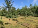 IMG_1554.jpg