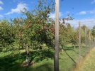 IMG_1671.jpg