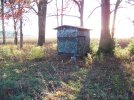 deer blind set up 395.JPG