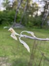 519DF6E5-891F-4D0B-9161-88A22E774A86.jpeg