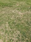 IMG_0317.JPG