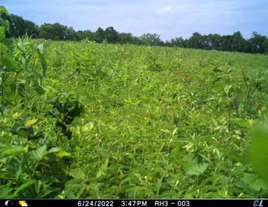 T_00002[9].JPG