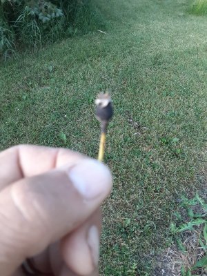 20220630_062924.jpg 20220630_062924.jpg