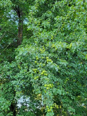 20220718_194915.jpg