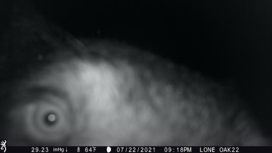 IMG_1721 (5).jpeg