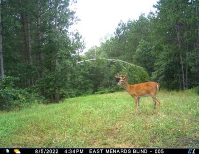 East Buck 8:5.jpeg