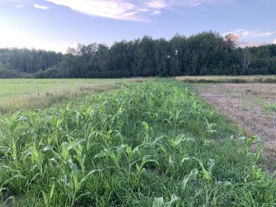 63DCFC41-E171-4EF7-AEFD-373C986B9C0E.jpeg 63DCFC41-E171-4EF7-AEFD-373C986B9C0E.jpeg