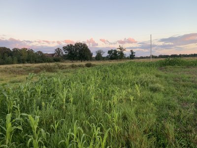 18CD4763-9BF2-405F-A9DC-DDAEAC56CBC8.jpeg 18CD4763-9BF2-405F-A9DC-DDAEAC56CBC8.jpeg