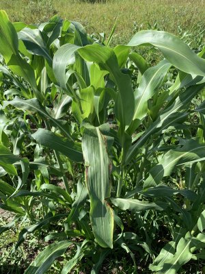 36A23352-8C87-41B4-A1D2-EC18D04CC742.jpeg 36A23352-8C87-41B4-A1D2-EC18D04CC742.jpeg