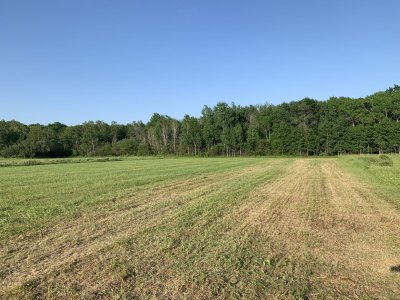 BC960BA0-7214-4ABF-AA63-2B623058C40D.jpeg BC960BA0-7214-4ABF-AA63-2B623058C40D.jpeg