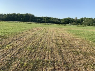 89AD6BFC-7821-45E2-8F37-AC702C4B1F8B.jpeg 89AD6BFC-7821-45E2-8F37-AC702C4B1F8B.jpeg