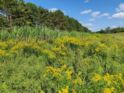 1661547031505.jpeg 1661547031505.jpeg