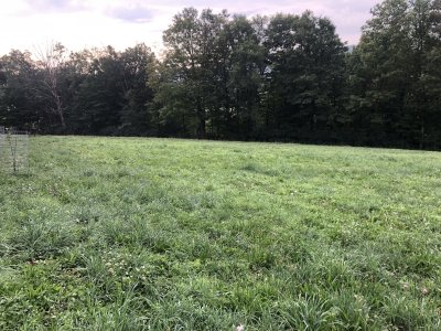 IMG_7149[1].JPG