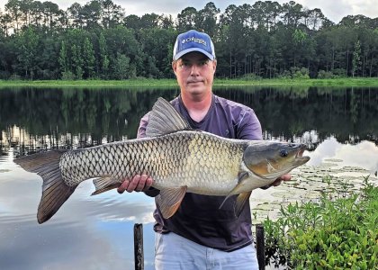 Carp.jpg