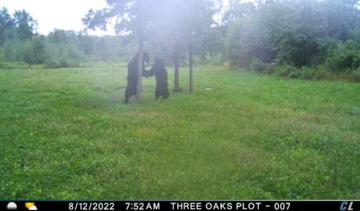 Hi Fives at the Oaks plot.jpeg