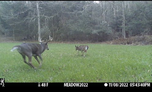 IMG_E7898[1].JPG