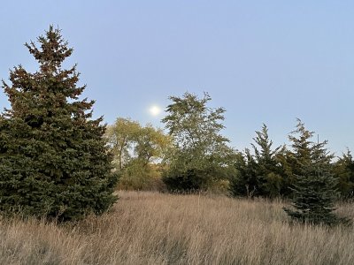 9ADA7391-98CC-4DF8-B5EE-251954E3FD3F.jpeg