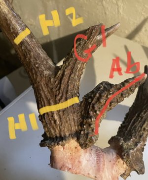 9102E179-1DBA-4DB1-AD88-ADFBF4572D13.jpeg