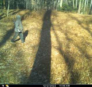 Trespasser cut down.png
