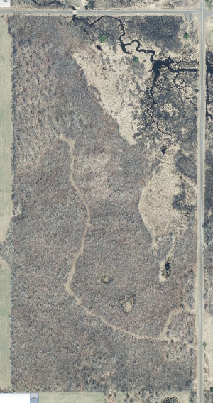 land.PNG