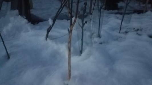 20221213_165633.jpg
