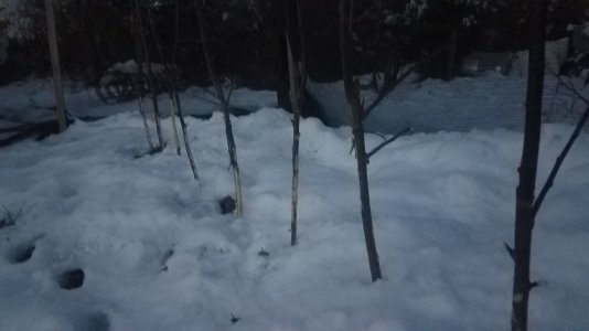 20221213_165637.jpg