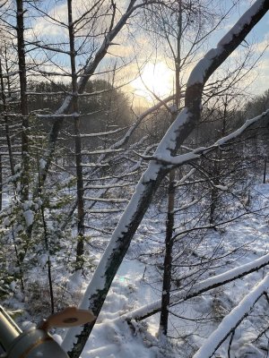 IMG_9972.jpeg