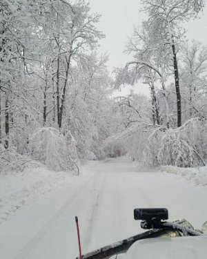 winter wonderland.jpeg