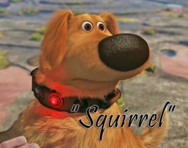 dug-squirrel.jpg