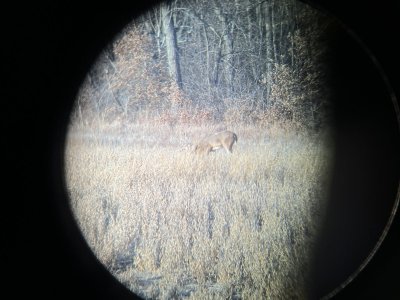 IMG_1189.jpeg