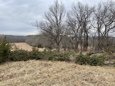 northeast north field corner barricaded.jpg