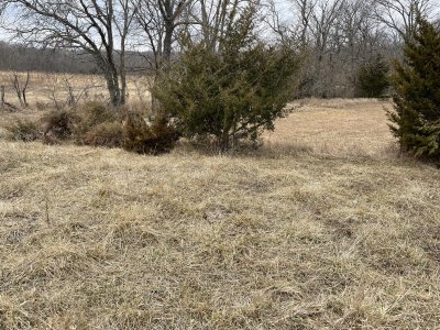 fence crossing boxblind.jpg