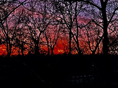 IMG_1954.jpeg