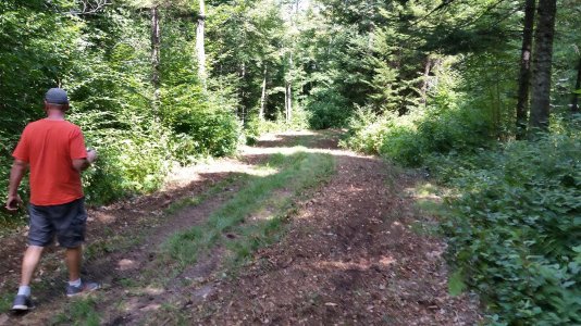 20200816_115314.jpg