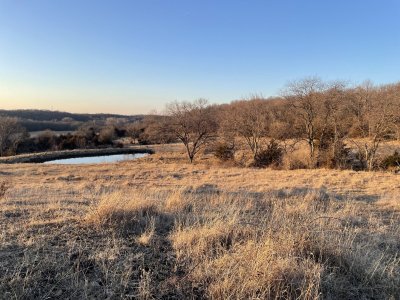 road screen site pond.jpg