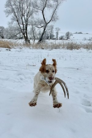 5C461732-B093-424C-BA2E-5845F9F91CDC.jpeg