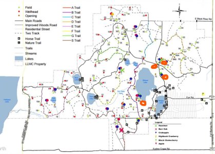 Fruit trees 2022 updated.jpg
