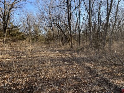 Small clover plot in timber prep.jpg