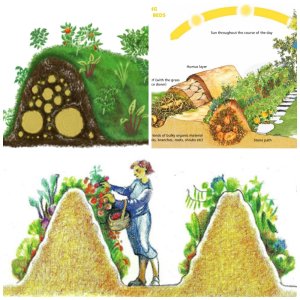 hill gardening.jpg
