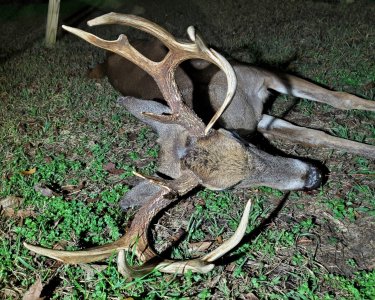 Ghost Buck.jpg