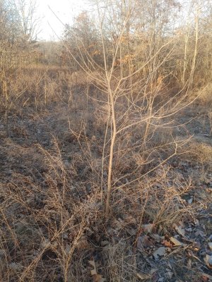 20230218_074626_HDR.jpg